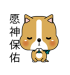 Prosperity Dog（個別スタンプ：37）