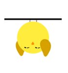 Gyg（個別スタンプ：24）