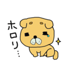 うちの子まゆたろう（個別スタンプ：37）
