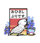 いたずらオウム2（個別スタンプ：1）