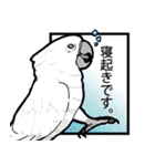 いたずらオウム2（個別スタンプ：8）