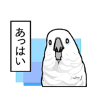 いたずらオウム2（個別スタンプ：10）