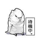 いたずらオウム2（個別スタンプ：13）