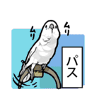 いたずらオウム2（個別スタンプ：16）