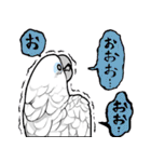 いたずらオウム2（個別スタンプ：25）