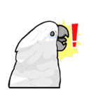 いたずらオウム2（個別スタンプ：28）