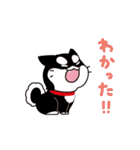 うごく！黒柴のあきひめ（個別スタンプ：5）
