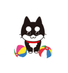 うごく！黒柴のあきひめ（個別スタンプ：6）