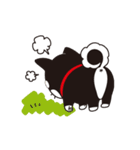 うごく！黒柴のあきひめ（個別スタンプ：19）