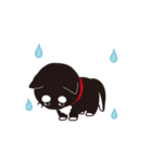 うごく！黒柴のあきひめ（個別スタンプ：20）