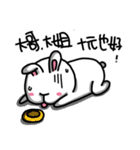 Rabbit in the third quarter round（個別スタンプ：4）