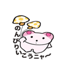 cat, various（個別スタンプ：24）