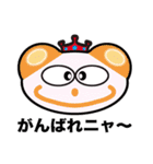cat, various（個別スタンプ：26）