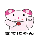 cat, various（個別スタンプ：40）