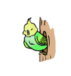 大人女子に贈るインコのつぶやき（個別スタンプ：2）