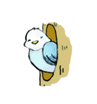 大人女子に贈るインコのつぶやき（個別スタンプ：5）