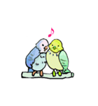 大人女子に贈るインコのつぶやき（個別スタンプ：10）