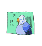 大人女子に贈るインコのつぶやき（個別スタンプ：24）