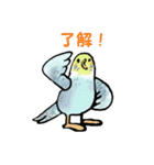 大人女子に贈るインコのつぶやき（個別スタンプ：32）