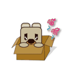 popo bear（個別スタンプ：37）