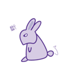 P rabbit not daily（個別スタンプ：1）
