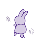 P rabbit not daily（個別スタンプ：2）