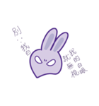 P rabbit not daily（個別スタンプ：4）