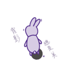 P rabbit not daily（個別スタンプ：5）