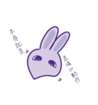 P rabbit not daily（個別スタンプ：7）