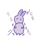 P rabbit not daily（個別スタンプ：8）
