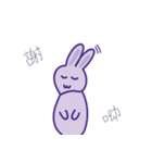 P rabbit not daily（個別スタンプ：10）