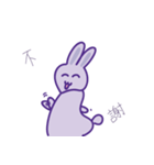 P rabbit not daily（個別スタンプ：11）