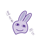 P rabbit not daily（個別スタンプ：15）