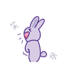 P rabbit not daily（個別スタンプ：20）