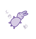 P rabbit not daily（個別スタンプ：24）