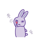 P rabbit not daily（個別スタンプ：25）