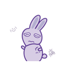 P rabbit not daily（個別スタンプ：27）