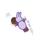 P rabbit not daily（個別スタンプ：30）