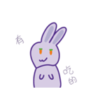 P rabbit not daily（個別スタンプ：33）