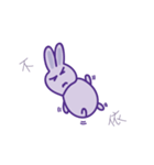 P rabbit not daily（個別スタンプ：34）