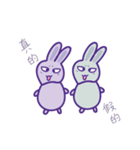 P rabbit not daily（個別スタンプ：36）