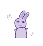 P rabbit not daily（個別スタンプ：37）
