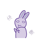 P rabbit not daily（個別スタンプ：38）