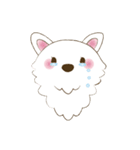 しろいぬカフェ Vol.1（個別スタンプ：6）