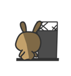 Middle-aged rabbit（個別スタンプ：14）