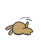 Middle-aged rabbit（個別スタンプ：33）