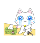 Sweet cute cat with you living life.（個別スタンプ：13）