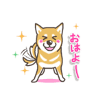 柴犬集合！～赤・黒・白柴～（個別スタンプ：1）