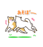 柴犬集合！～赤・黒・白柴～（個別スタンプ：32）