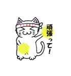 へそまるの日常（個別スタンプ：5）